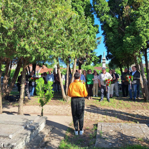 A „beszélt esszé” átütő erejével